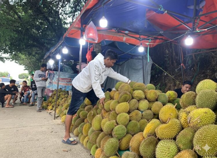Rian (baju putih), pedagang durian lokal di Tarakan, tengah melihat kondisi dagangannya di lapak Jalan Jenderal Sudirman.