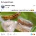 Tangkapan layar menu MBG di wilayah Juata Laut menjadi sorotan usai viral di media sosial.