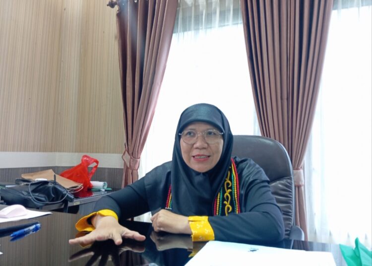 DKISP Dapat PR dari Wali Kota Tarakan, Ini yang Harus Dikerjakan