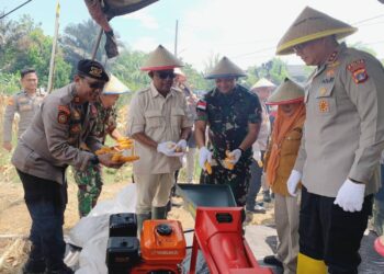 Ketua DPRD Tarakan: Panen Raya Jagung Bantu Petani dan Ketahanan Pangan