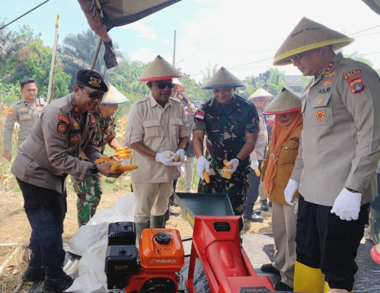 Ketua DPRD Tarakan: Panen Raya Jagung Bantu Petani dan Ketahanan Pangan
