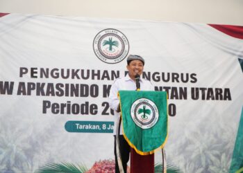 Harga TBS Sawit di Kaltara Anjlok Usai Pidato Prabowo, APKASINDO Soroti Kepanikan PKS