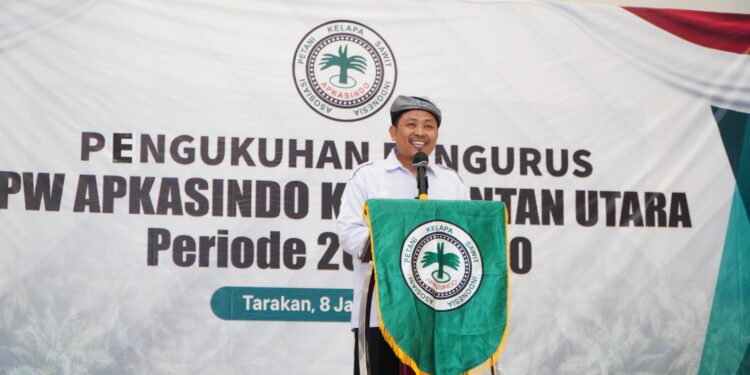 Harga TBS Sawit di Kaltara Anjlok Usai Pidato Prabowo, APKASINDO Soroti Kepanikan PKS