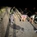 Dua Pengendara Aerox Tewas Adu Banteng di Sungai Maya Tarakan, Polisi Duga Dipicu Kurang Hati-hati
