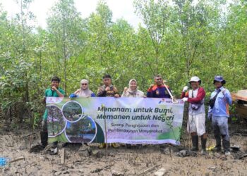 Pertamina EP Bunyu Field Tanam Mangrove dan Durian, Perkuat Pesisir dan Ekonomi Warga