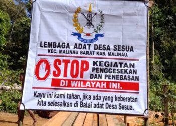 Melawan Perampasan Ruang Hidup: PMDPDB-KT Kawal Kedaulatan Hutan Adat Desa Sesua